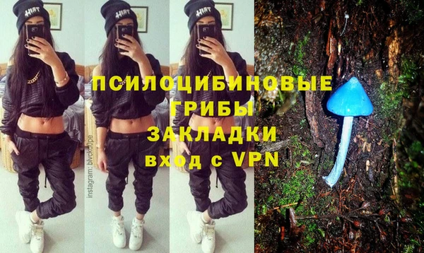 крисы Липки