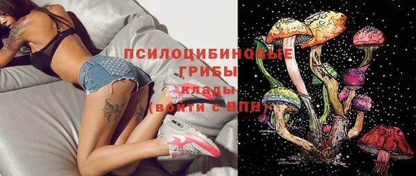 крисы Липки
