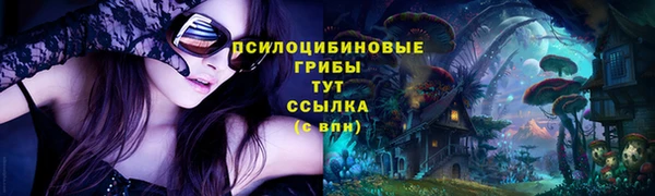 СК Лихославль